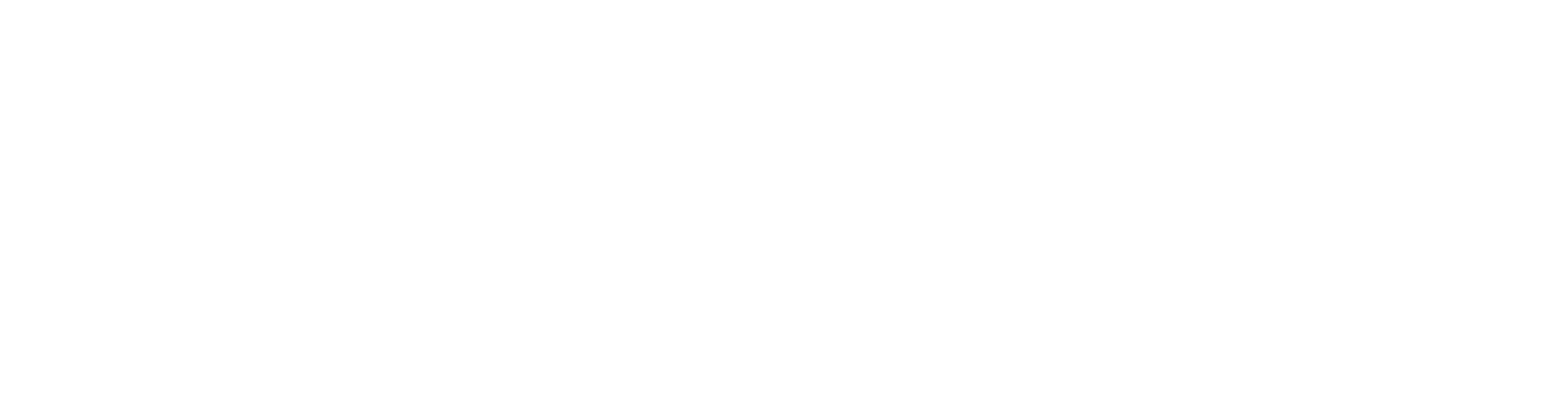 Mehmet Şerif Güden